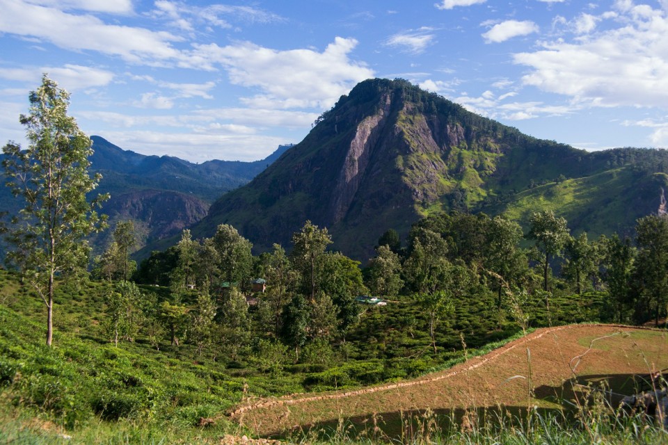 Ella Gap